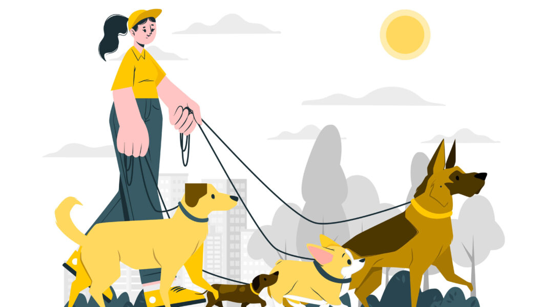 Pet Daycare in Ahmedabad