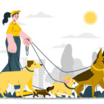 Pet Daycare in Ahmedabad