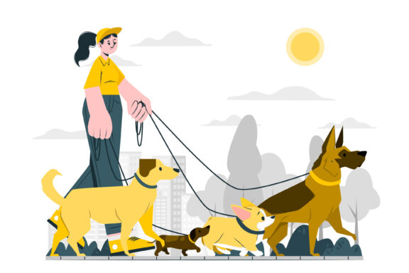 Pet Daycare in Ahmedabad